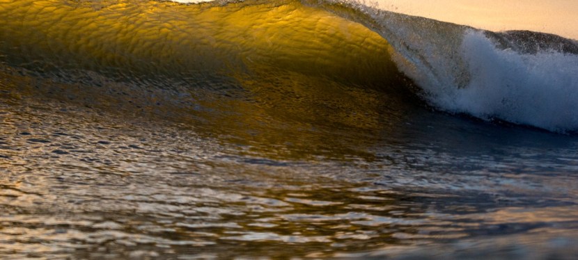 Reminder: You Can&nbsp;Swim