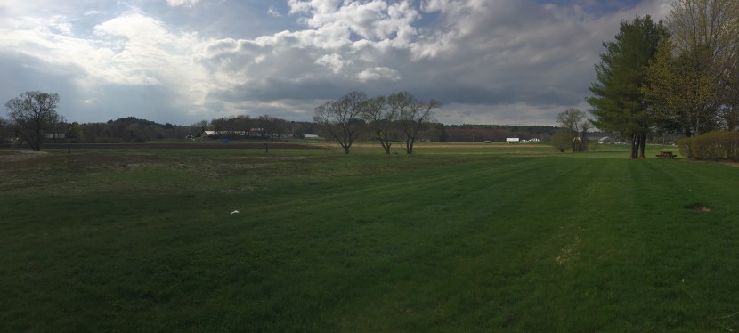 I love a good&nbsp;comeback.